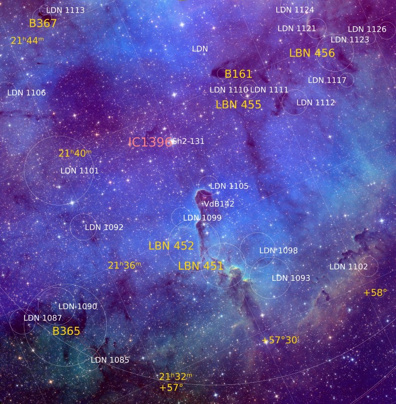 IC1396_LSHO_RGBstars_Final_05JUNE24_Astrometry_Annotated.jpg