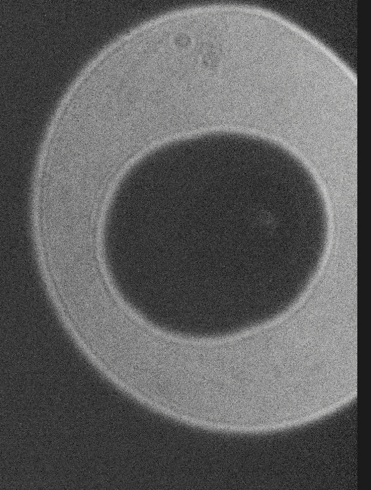 Capture d’écran 2020-03-26 à 21.52.27.png