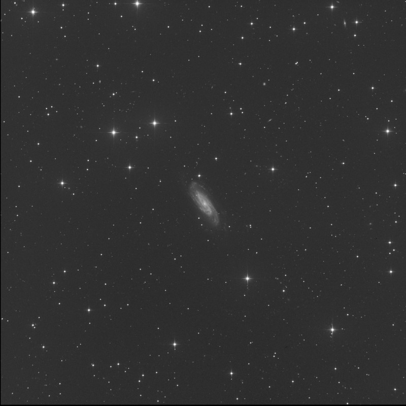 NGC3198_Stack_46frames_2760s_WithDisplayStretch.jpg