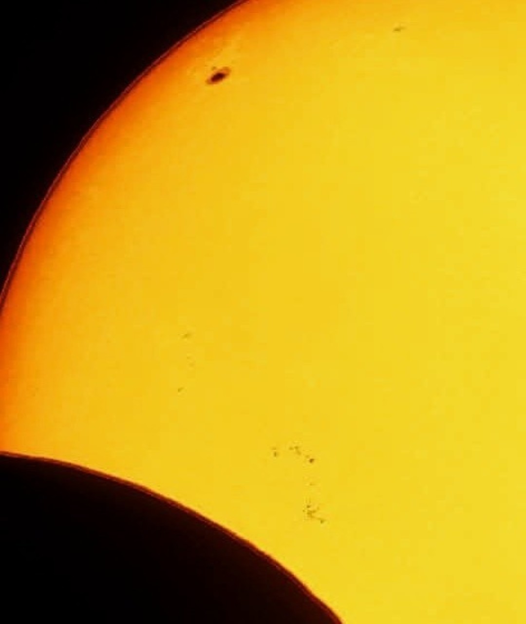 FB_IMG_1743331276540~3 (Grande).jpg