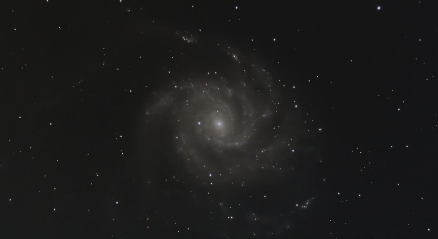 r_pp_M101_NOFILTER_20250406_120x10s_stacked_seti_sharp_denoised_streched_halo_siril_denoised.jpg