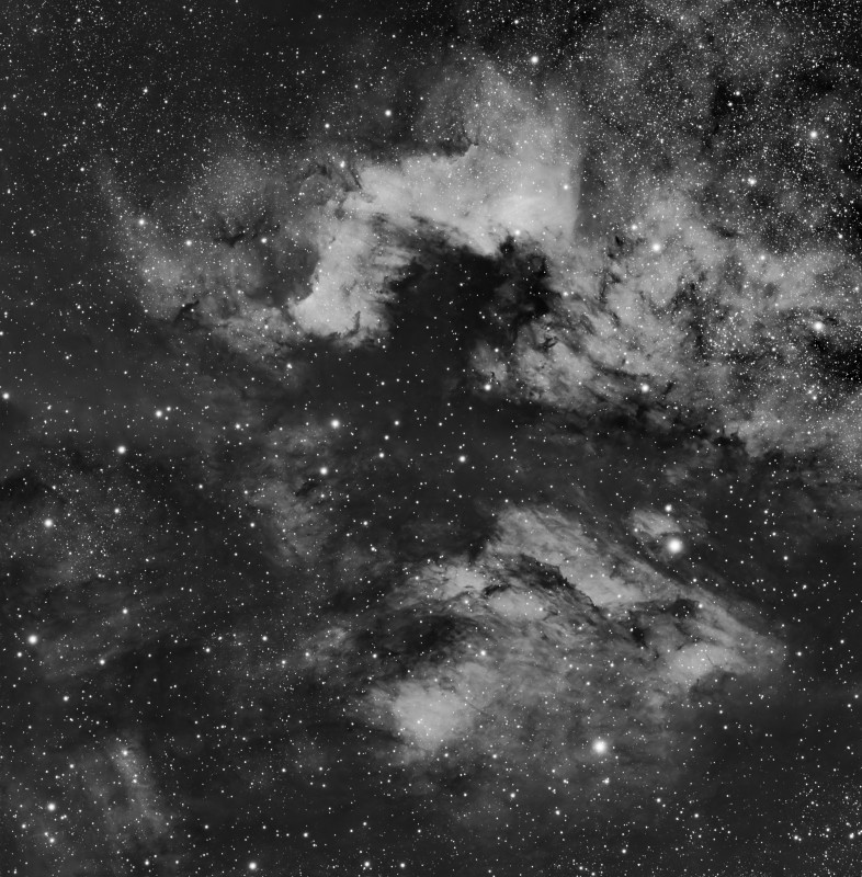 jmbtuto_NGC7000_SV555_Minicam8M_Mosa_OIII_30x120s_stacked_grad_noise_strechnoise_strech_noise.jpg