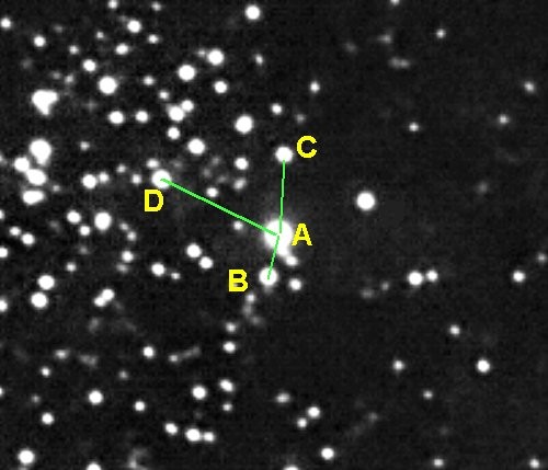 BLL58-grenn-crop.jpg