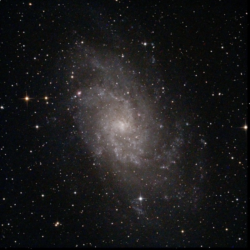 M33-20251030Stack_57frames_912s_WithDisplayStretch-va.jpg