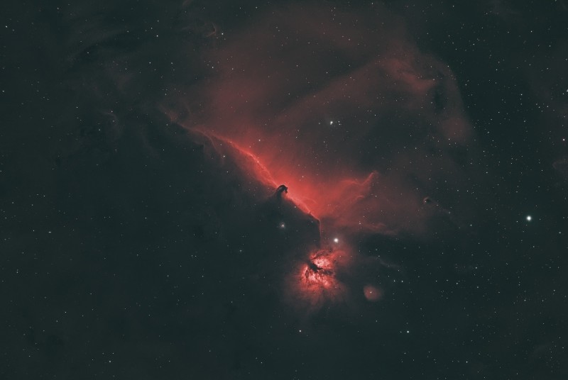 cheval hoo star  reduc.jpg