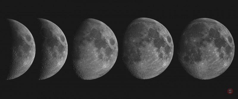 Moon Phases.jpg