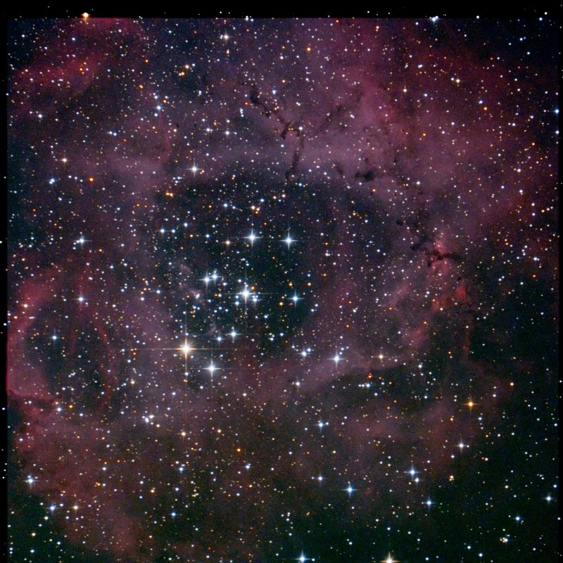 NGC 2237-F-Stack_63frames_1890s_WithDisplayStretch.jpg