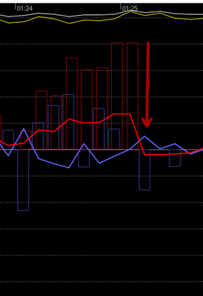 Copie d'écran_PhdLogViewer-zoomImpuls-20260111.png