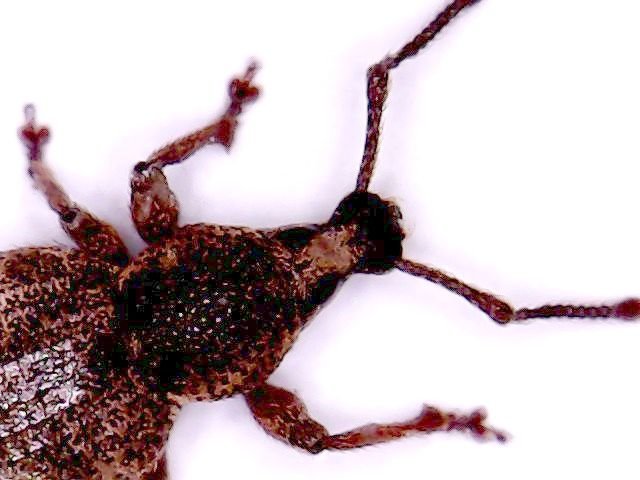 Sat May 09 13-55-48.jpg