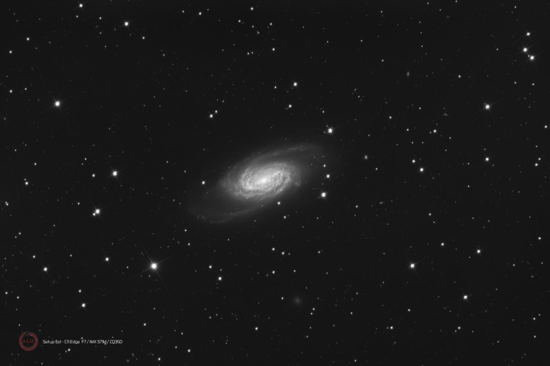NGC 2903 Leo STE L_10x180s.jpg