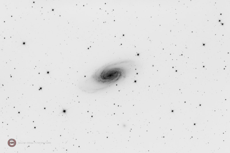 r_pp_NGC 2903 Leo STE L_stacked copie.jpg