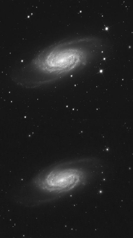 2903 vs 2903.jpg