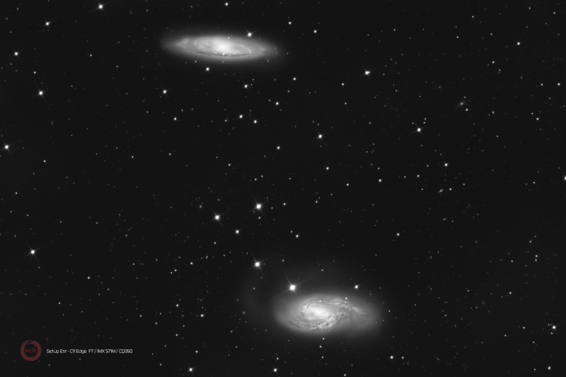 M66-65 Leo STE L_20x180s.jpg
