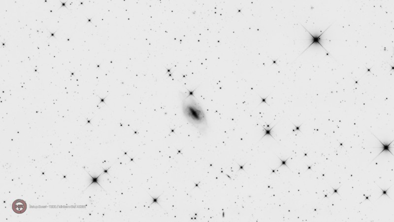 ARP 336 - NGC 2685 Uma STO L 60x60s neg.jpg