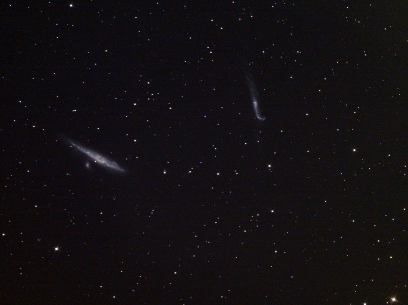NGC 4631.png