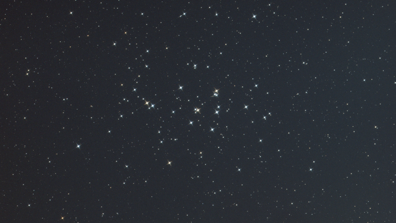 M 44-RGB-1-2-2.png