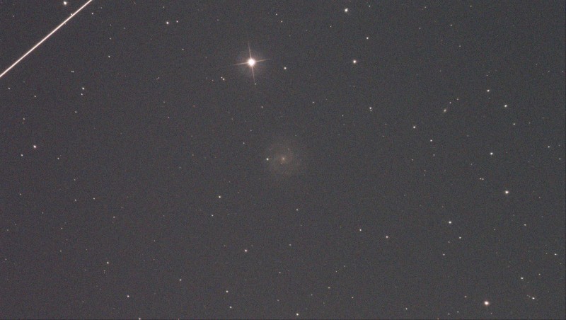 ngc3184.jpg