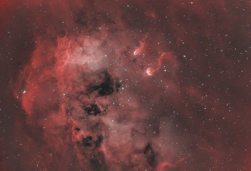 Tetards-version-Micmac.jpg