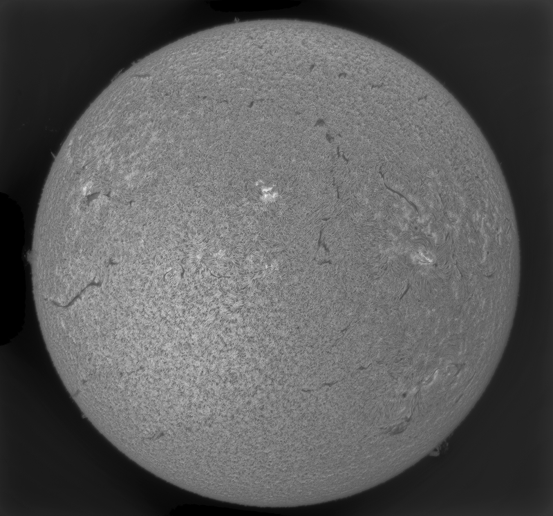 ASI585-2026-04-06-0948_1-Sun_Surface_38.fit-ImPPG.01.tif-Pix.04-Mono-Hdr10,1.png-Affinity.01.png