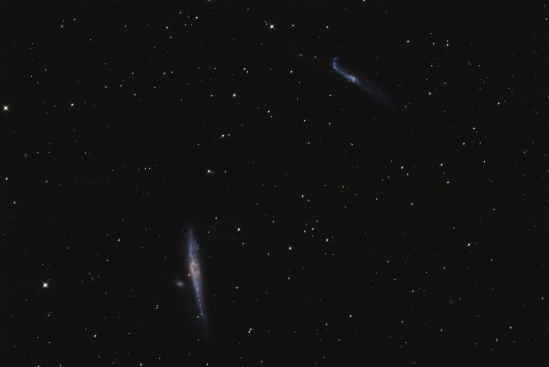 ngc4631_001.jpg