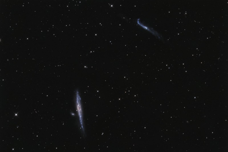 NGC4631_004.jpg