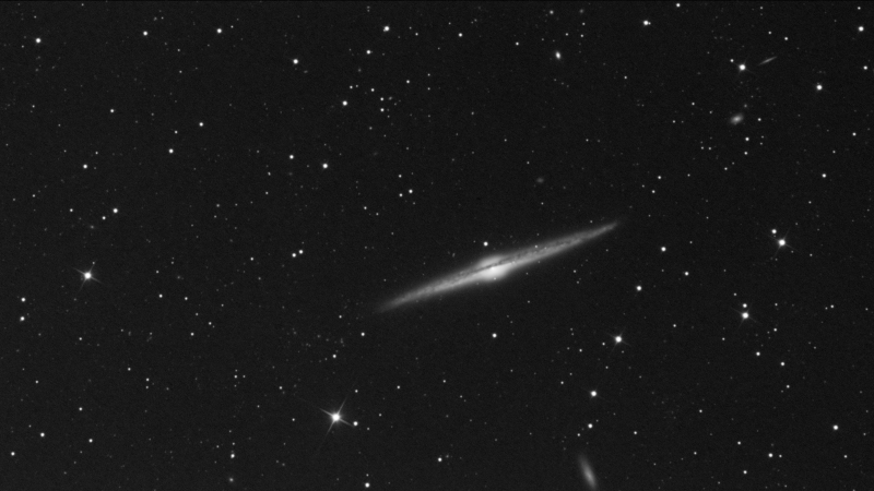 NGC 4565.png
