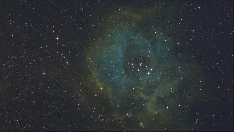Rosette-RGB-5-4-4-bis.png