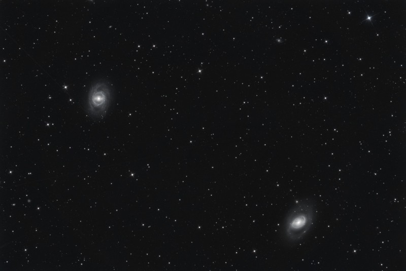 M951M96_040C.jpg