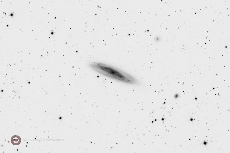 M98 STE L_20x180s L Negatif.jpg