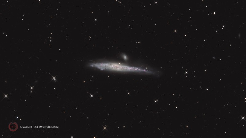 NGC 4631 Cvn STO LRVBHa -  60x60s L + 15x60s RVB G80O25 + 9x180s Ha G80O50.jpg