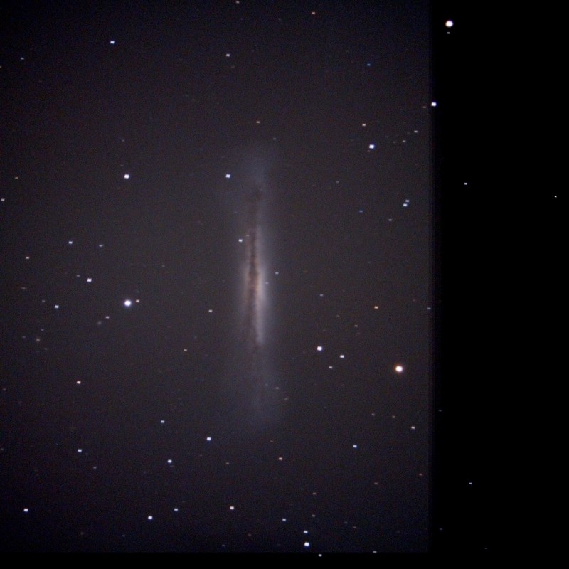 ngc3628-Stack_41frames_1230s_WithDisplayStretch.jpg