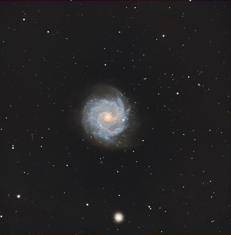 NGC3184MICMAC.jpg
