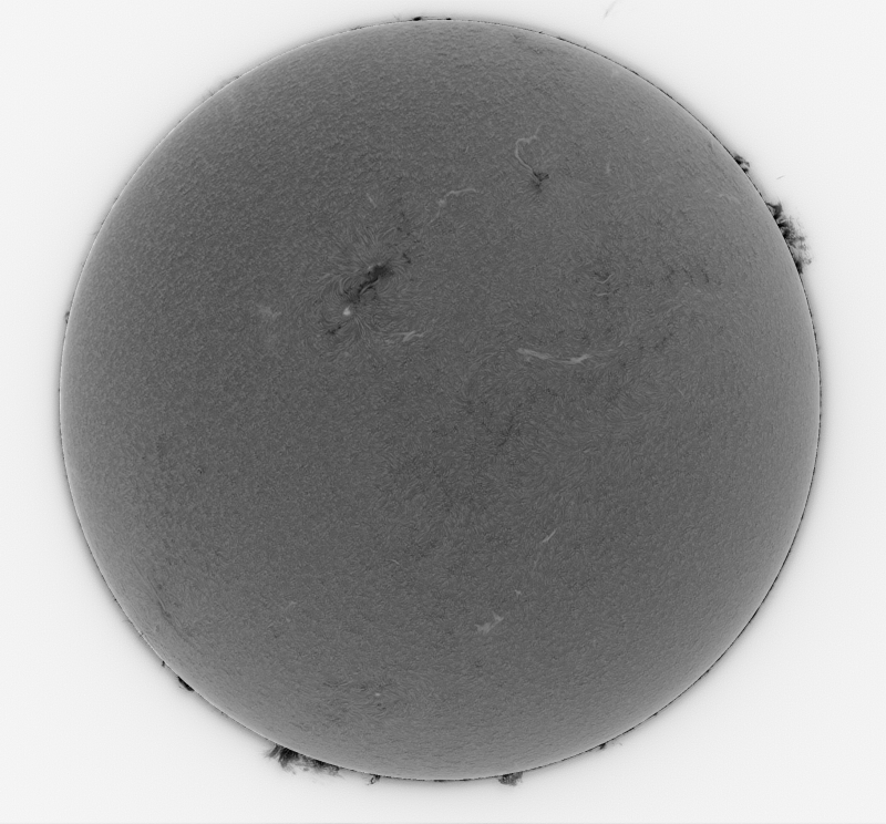 Snapshot at 14_31_46 of Stack_00002.png