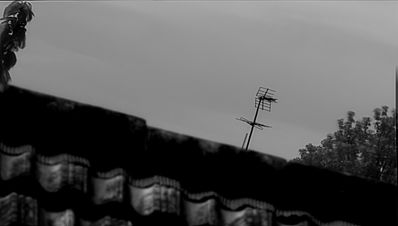Snapshot135.jpg