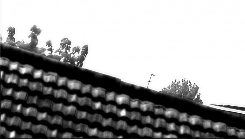 Snapshot55mm.jpg