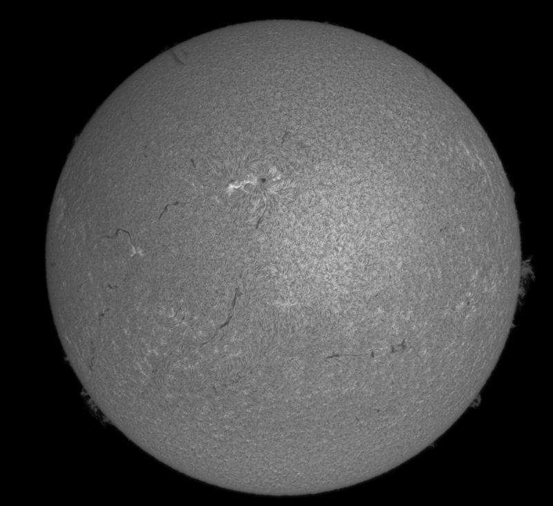 2026-04-18-1420_5-U-G-Sun_Halpha_ZWO ASI585MM_Gain=180_Exposure=6.1ms_15_Gamma=1_Surface_30.fit-ImPPG.03-Affinity.01.png