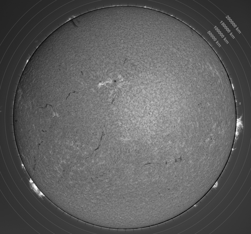 2026-04-18-1420_5-U-G-Sun_Halpha_ZWO ASI585MM_Gain=180_Exposure=6.1ms_15_Gamma=1_Surface_30.fit-ImPPG.03-Fusion01.png