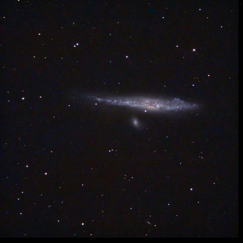 ngc4631-Stack_75frames_1200s_WithDisplayStretch-F.png