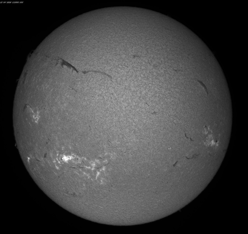 2026-04-23-0929_7-S-G-Sun_Halpha_ZWO ASI585MM_Gain=175_Exposure=5.5ms_13_Gamma=30_Surface_30_Sharp20_B1.0_C1.0_S1_N1.jpg
