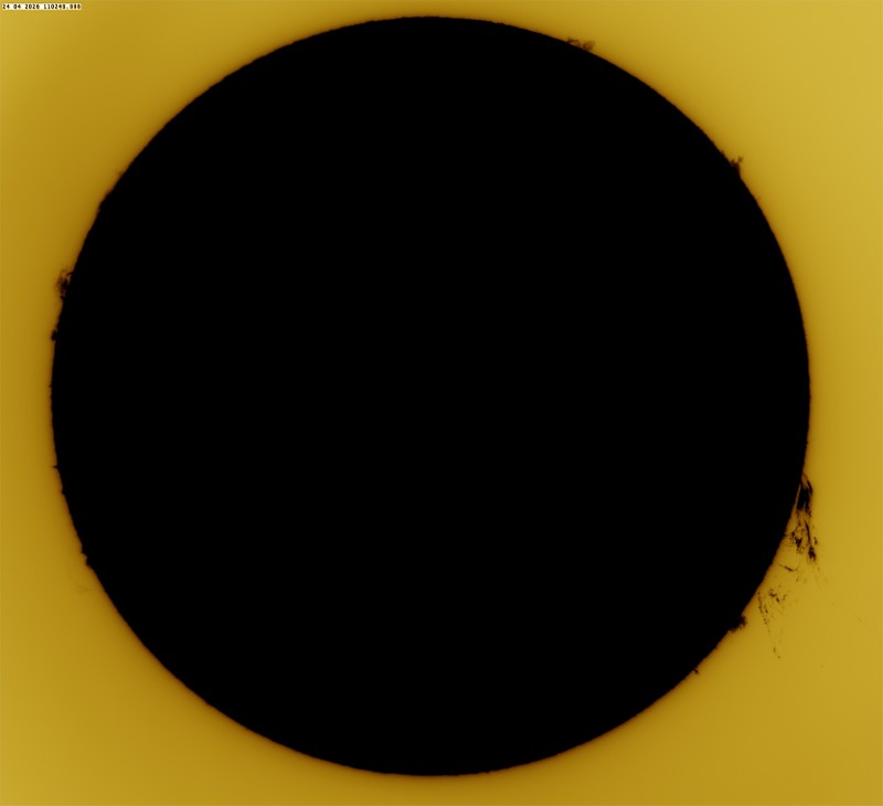 2026-04-24-0902_8-S-G-Sun_Halpha_ZWO ASI585MM_Gain=240_Exposure=16.8ms_4_Gamma=78_Surface_30_Sharp20_B1.0_C1.0_S1_N1_SUN_INV.jpg