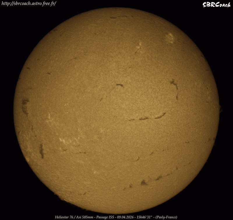 SBRCoach_Iss-Full(3).gif