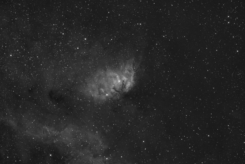 r_SH2-101_stacked-020tif.jpg
