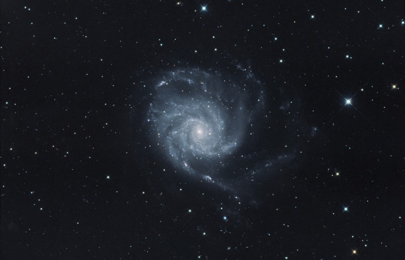 M101_LRVB_RC10 fo.jpg