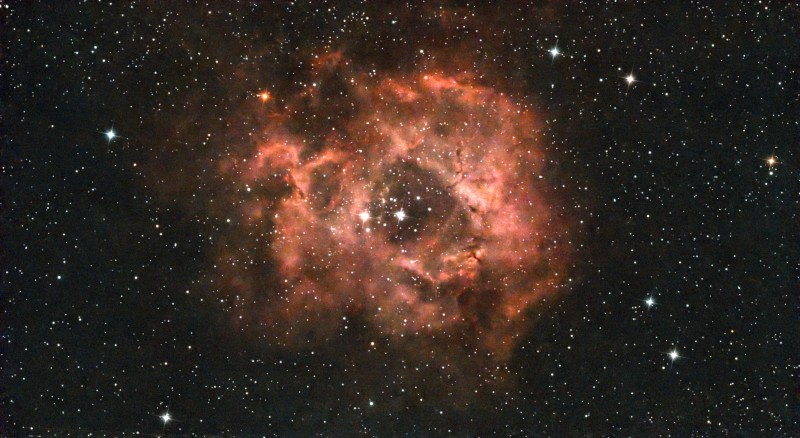 Rosette 95x15 s.jpg