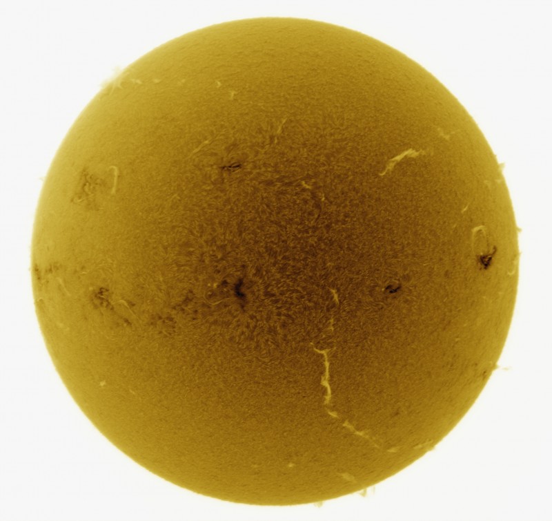 2026-05-01-0838_9-S-G-Sun_Halpha_ZWO ASI585MM_Gain=162_Exposure=7.2ms_7_Gamma=30_Surface_28_Sharp24_B1.0_C0.6_S1_N1_SUN_INV.jpg