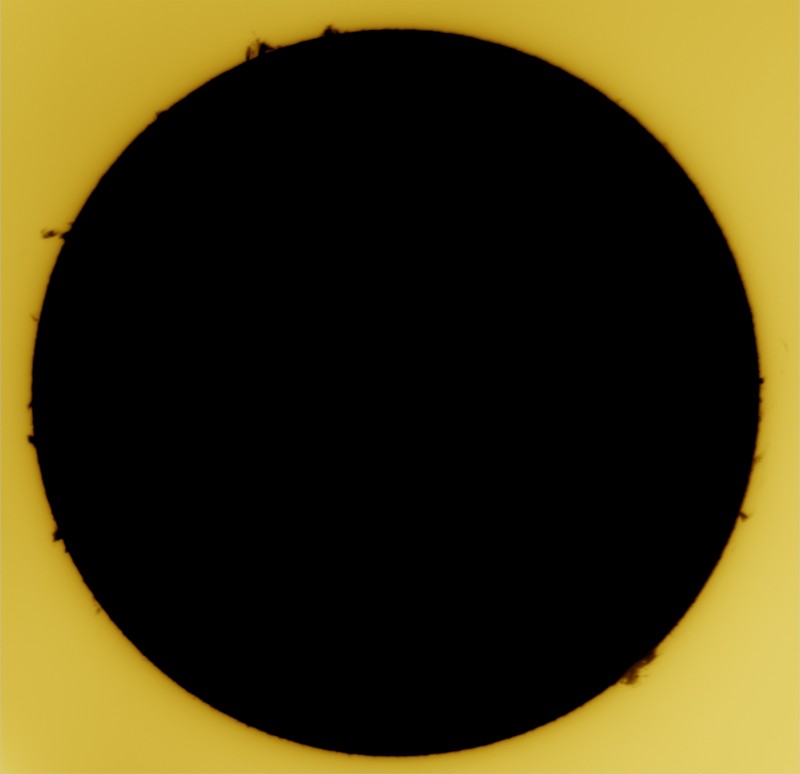 2026-05-01-0903_9-S-G-Sun_Halpha_ZWO ASI585MM_Gain=240_Exposure=18.5ms_12_Gamma=71_Surface_28_Sharp26_B1.0_C1.0_S1_N1_SUN_INV.jpg