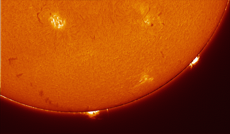 Timelapse 14_19_28.gif