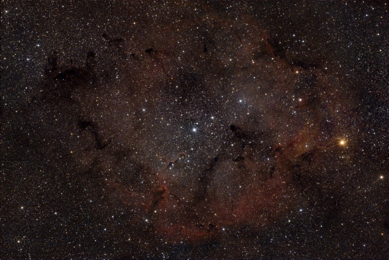 IC1396 (Elephant Trunk)-13028 20250301 fo.jpg