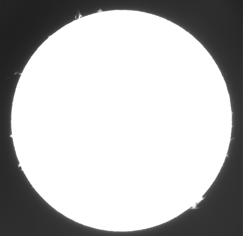 9-Protus.png