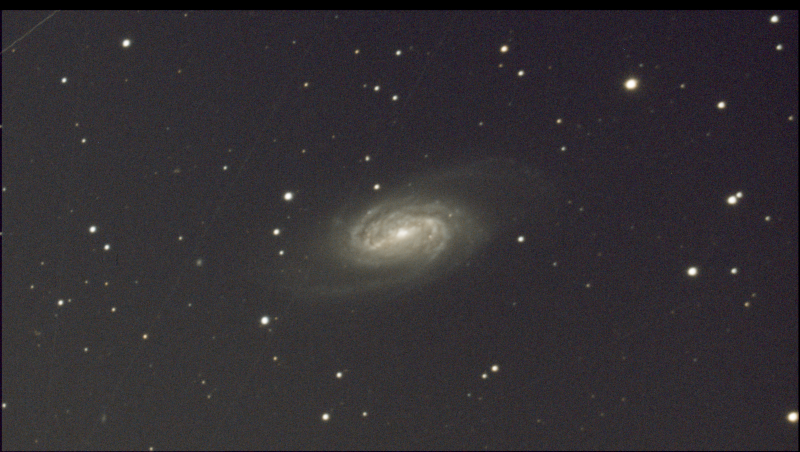 NGC 2903-RGB-15.png